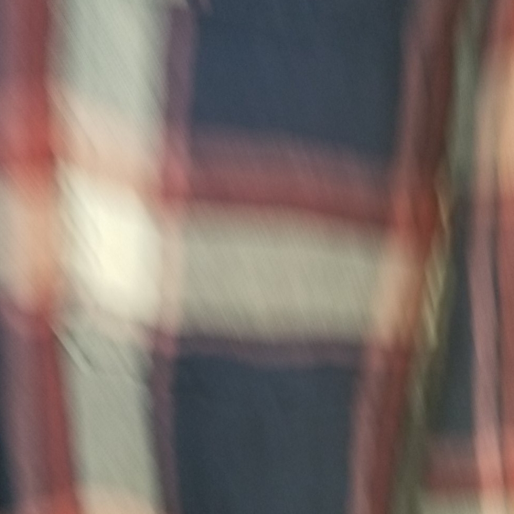 Flannel - Picture 3 of 4